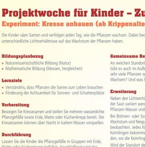 Experiment Kresse anbauen (ab Krippenalter)-image
